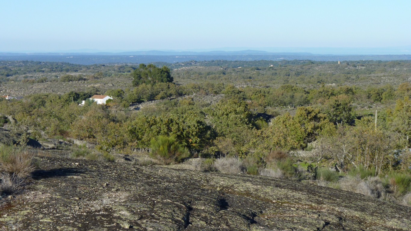 we were looking for   menhir (standing ston